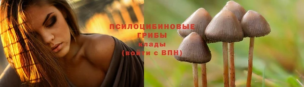 mix Абинск