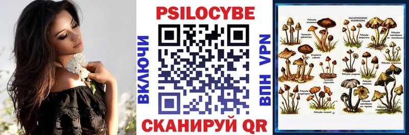Псилоцибиновые грибы Psilocybine cubensis  Елизаветинская 